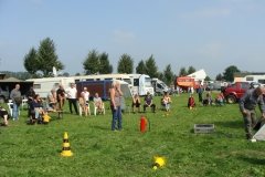 DSC07094